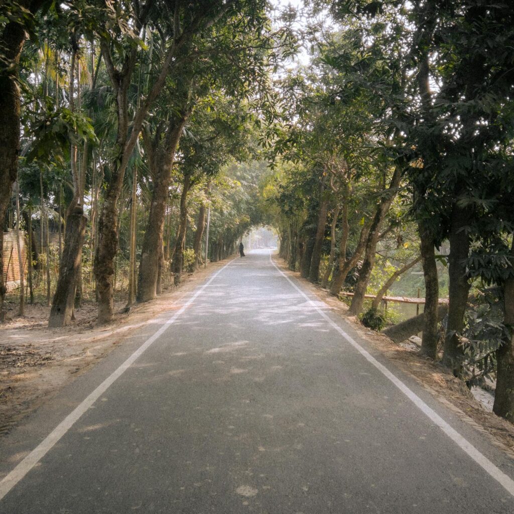 Serene rural road surrounded by lush greenery in Chandpur, Bangladesh, perfect for nature lovers.